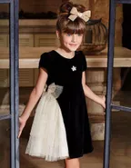 ALLOVIN Velvet Tulle Party Dress