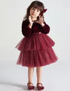 ALLOVIN Toddler Girls Round Neck Velvet Tulle Dress