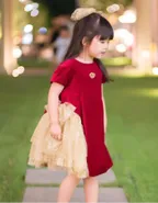 ALLOVIN Velvet Tulle Party Dress