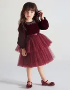 ALLOVIN Toddler Girls Round Neck Velvet Tulle Dress