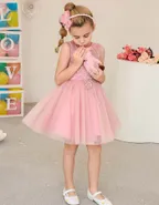 ALLOVIN Pink Embroidery Tulle Dress