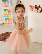 Toddler Girl Sequins Sleeveless Formal Ball Gown Party Dress