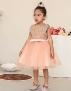 Toddler Girl Sequins Sleeveless Formal Ball Gown Party Dress
