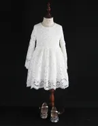 ALLOVIN Vintage A-Line Lace Dress
