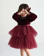 ALLOVIN Toddler Girls Round Neck Velvet Tulle Dress