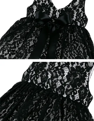 ALLOVIN Lace And Tulle V-back Layered Dress