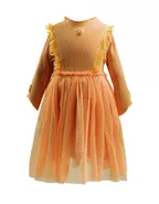 Lace Tulle A-line Dress