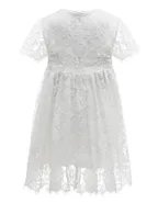 Toddler Girl Floral Lace Dress