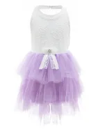 Toddler Girl Sleeveless Sheer Back Tulle Lace Dress