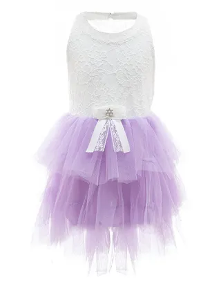 Toddler Girl Sleeveless Sheer Back Tulle Lace Dress