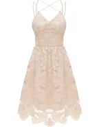 ALLOVIN Women's V Neck Spaghetti Strap Floral Lace Cocktail Dress Sexy Backless Sleeveless A Line Party Dress Champagne