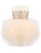 ALLOVIN Embroidery Tutu Dress