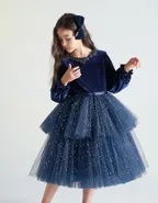 ALLOVIN Toddler Girls Round Neck Velvet Tulle Dress