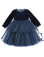 ALLOVIN Toddler Girls Round Neck Velvet Tulle Dress