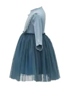 Lace Tulle A-line Dress