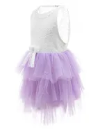 Toddler Girl Sleeveless Sheer Back Tulle Lace Dress
