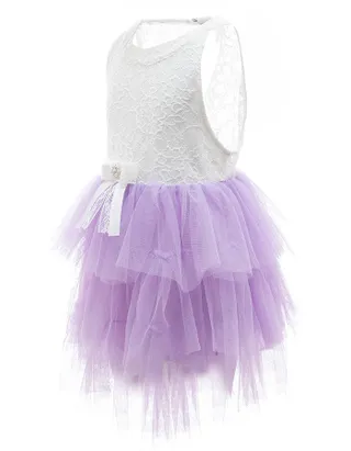Toddler Girl Sleeveless Sheer Back Tulle Lace Dress