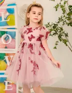 ALLOVIN Toddler Girl 3D-Butterfly Embroidered Lace Dress