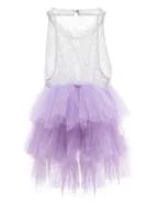Toddler Girl Sleeveless Sheer Back Tulle Lace Dress
