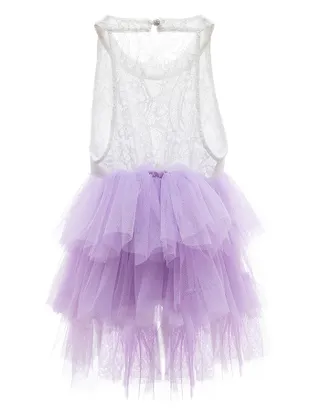 Toddler Girl Sleeveless Sheer Back Tulle Lace Dress