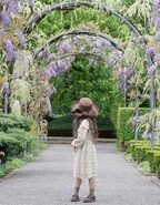 ALLOVIN Toddler Girls Vintage Knit Dress