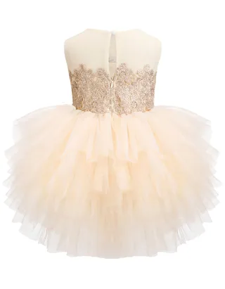 ALLOVIN Embroidery Tutu Dress