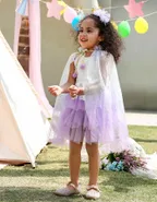 Toddler Girl Sleeveless Sheer Back Tulle Lace Dress
