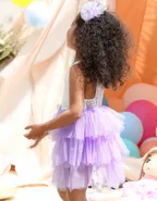 Toddler Girl Sleeveless Sheer Back Tulle Lace Dress