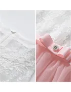 Toddler Girl Sleeveless A-Line Lace Flower Girl Dress