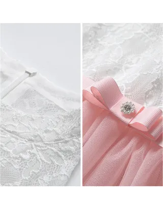 Toddler Girl Sleeveless A-Line Lace Flower Girl Dress