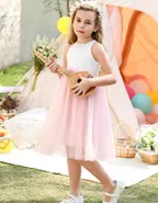 Toddler Girl Sleeveless A-Line Lace Flower Girl Dress