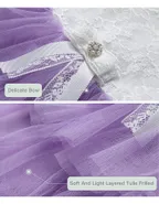 Toddler Girl Sleeveless Sheer Back Tulle Lace Dress