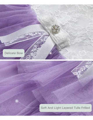 Toddler Girl Sleeveless Sheer Back Tulle Lace Dress