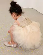 ALLOVIN Embroidery Tutu Dress
