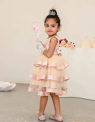 ALLOVIN Cinderella Embroidery Gown