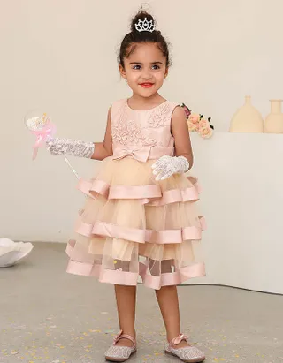 ALLOVIN Cinderella Embroidery Gown