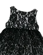 ALLOVIN Lace And Tulle V-back Layered Dress