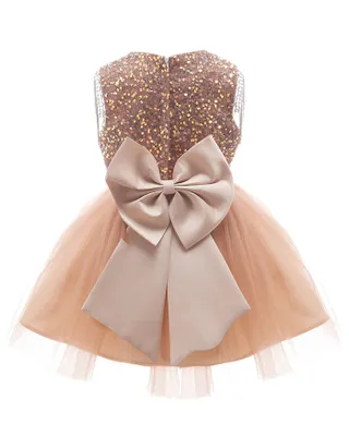 Toddler Girl Sequins Sleeveless Formal Ball Gown Party Dress
