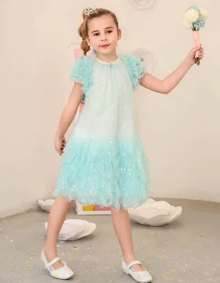 Allovin Rhinestone Crown Hair Accessory