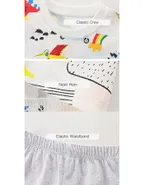 Toddler Boys Supersoft Dinosaur Printed Jersey T-Shirt & Pants Set