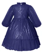 Allovin Toddler Girl A-line Long Sleeve Princess Sequin Tulle Dress for Party