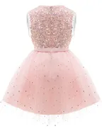 Toddler Girl Sequins Sleeveless Formal Ball Gown Party Dress