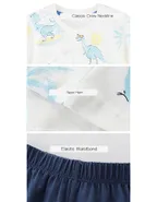 Toddler Boys Supersoft Dinosaur Ptinted Jersey T-Shirt & Pants Set