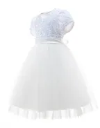 Toddler Girl Short Sleeve Sequins Flower Dress