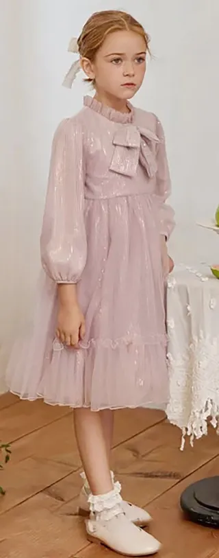 Allovin Toddler Girl A-line Long Sleeve Princess Sequin Tulle Dress for Party