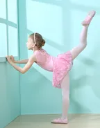 Allovin Ballet Lace Skirt