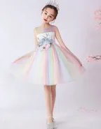 Birthday Party Ball Gown Dress