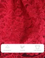 ALLOVIN Vintage A-Line Lace Dress