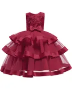 ALLOVIN Cinderella Embroidery Gown