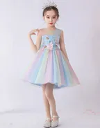 Birthday Party Ball Gown Dress